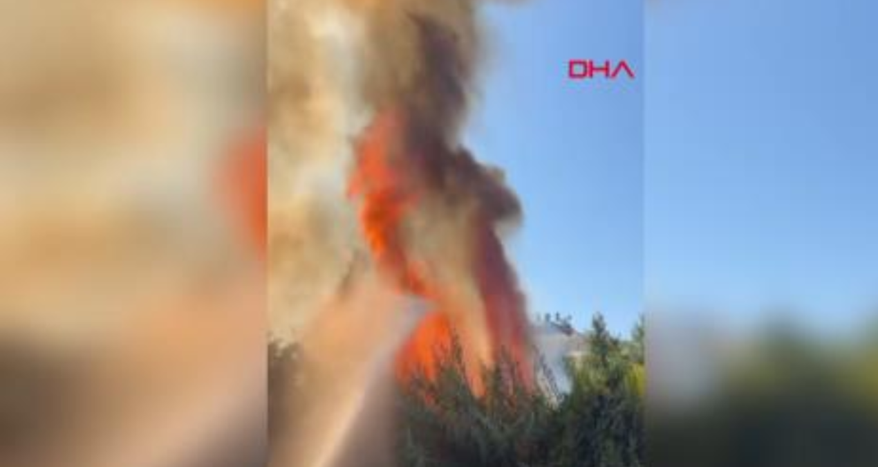 antalyada calilik yangini seralara sicradi rnHkWaen