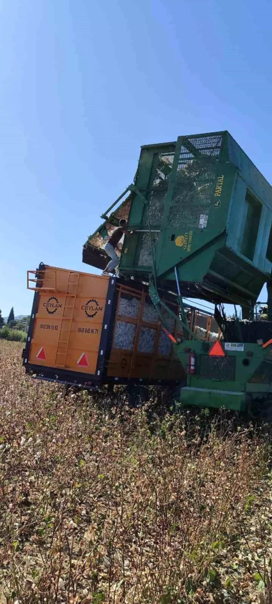 didimde pamuk hasat kontrolleri basladi xM6dBXeM