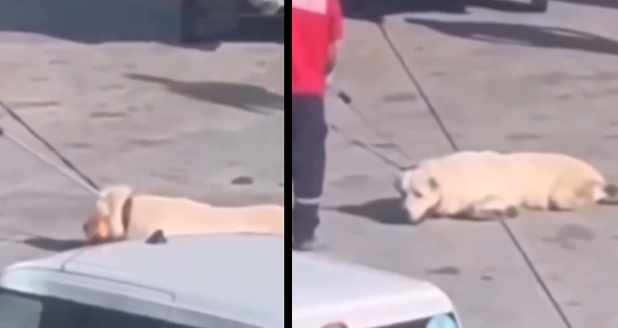 havalimanindaki skandal goruntu sonrasi igadanaciklama fsRwHNtp