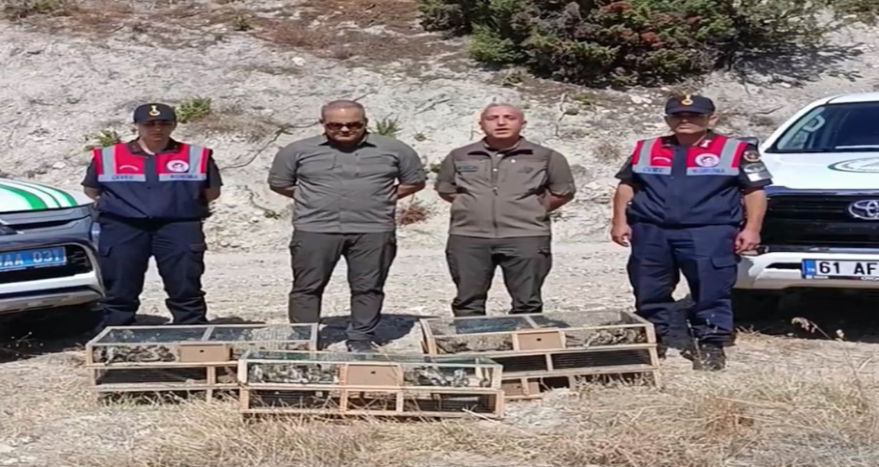 kutahyada yakalanan 142 saka kusu dogaya salindi zKXDwt8G