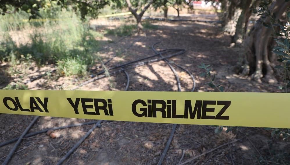 narenciye bahcesinde satirli dehset 8UiKWEHA