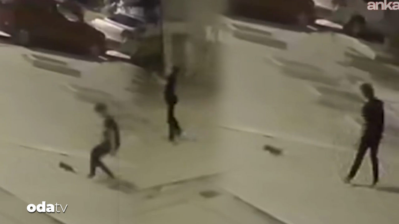 yavru kediyi firlatarak oldurdu LRCTxWD7