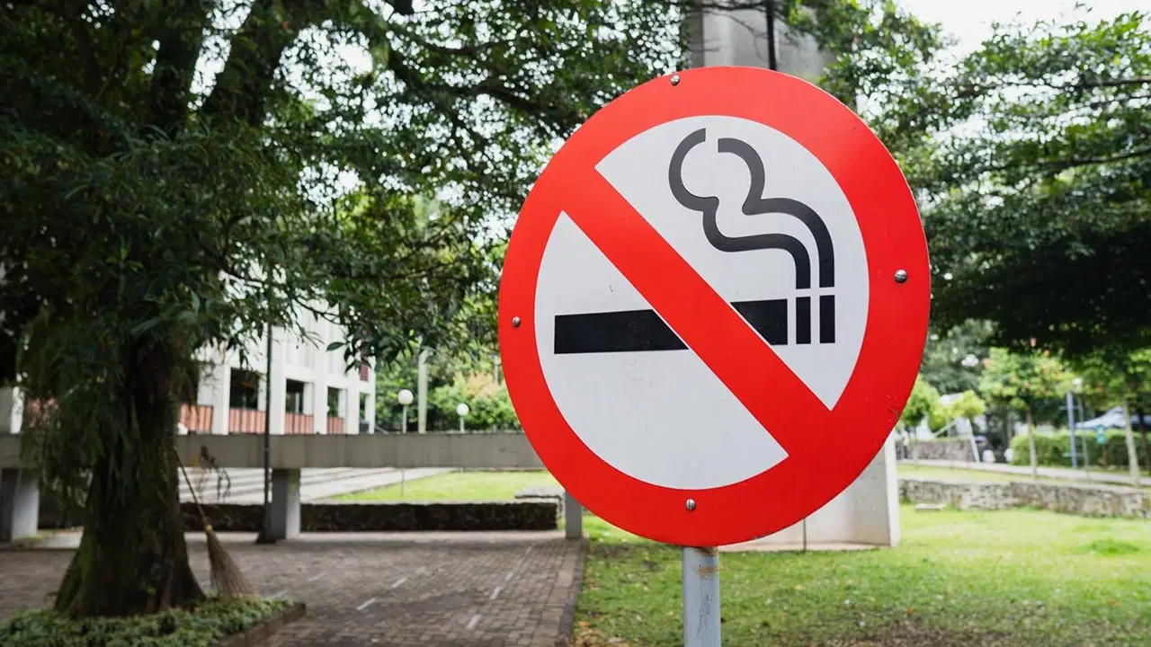 boluda cocuk parklarinda sigara icmek yasaklanacak vTLjnOg5.jpg