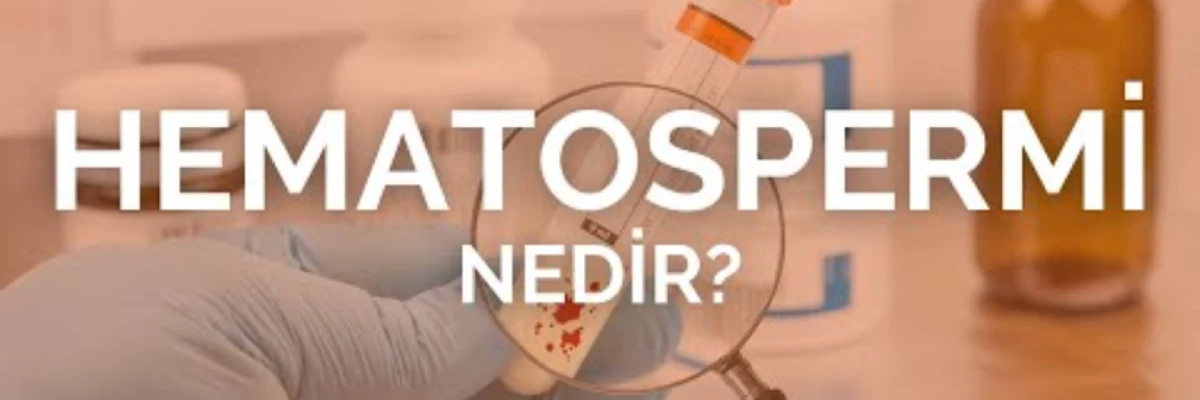Kanda Sperm Bulunması: Hematosperm Nedir ve Ne Zaman Ciddiye Alınmalıdır?